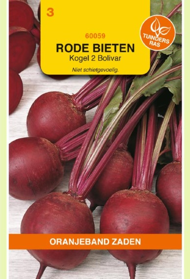 Rode biet Detroit 2 Bolivar (Beta vulgaris) 4500 zaden